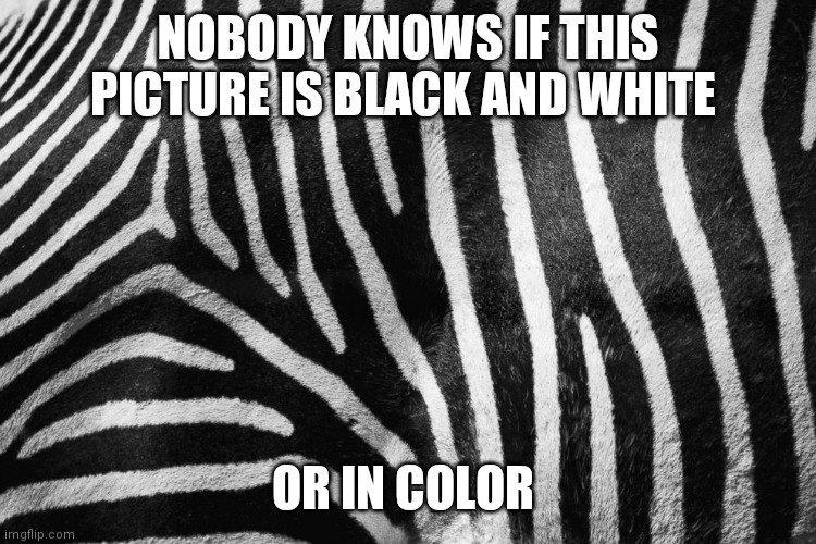 NOBODY KNOWS IF THIS PICTURE IS BLACK AND WHITE; OR IN COLOR | made w/ Imgflip meme maker