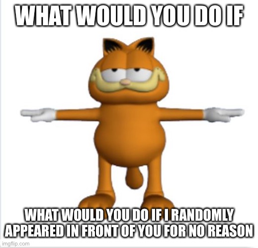 garfield t-pose | WHAT WOULD YOU DO IF; WHAT WOULD YOU DO IF I RANDOMLY APPEARED IN FRONT OF YOU FOR NO REASON | image tagged in garfield t-pose | made w/ Imgflip meme maker