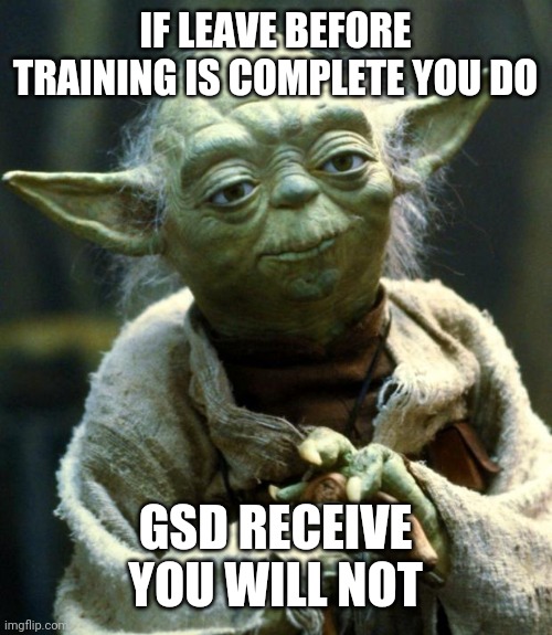 Star Wars Yoda | IF LEAVE BEFORE TRAINING IS COMPLETE YOU DO; GSD RECEIVE YOU WILL NOT | image tagged in memes,star wars yoda | made w/ Imgflip meme maker