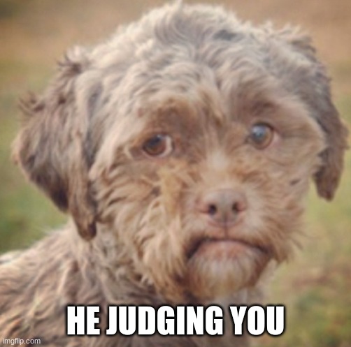 HE JUDGING YOU | made w/ Imgflip meme maker