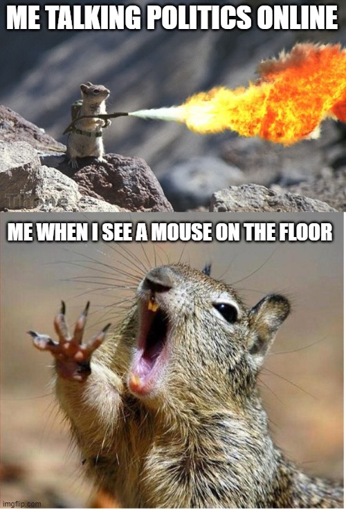 ME TALKING POLITICS ONLINE; ME WHEN I SEE A MOUSE ON THE FLOOR | image tagged in flame war squirrel,squirrel screaming | made w/ Imgflip meme maker