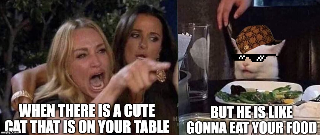 When this Women is Scared | WHEN THERE IS A CUTE CAT THAT IS ON YOUR TABLE; BUT HE IS LIKE GONNA EAT YOUR FOOD | image tagged in woman yelling at cat | made w/ Imgflip meme maker