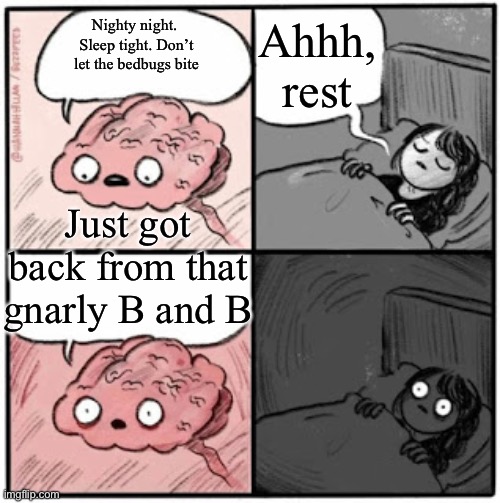 Brain Before Sleep | Ahhh, rest; Nighty night.  Sleep tight. Don’t let the bedbugs bite; Just got back from that gnarly B and B | image tagged in brain before sleep | made w/ Imgflip meme maker