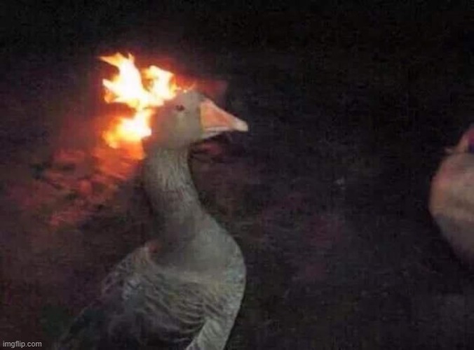 Pyromancer Goose. Could you beat him? | made w/ Imgflip meme maker