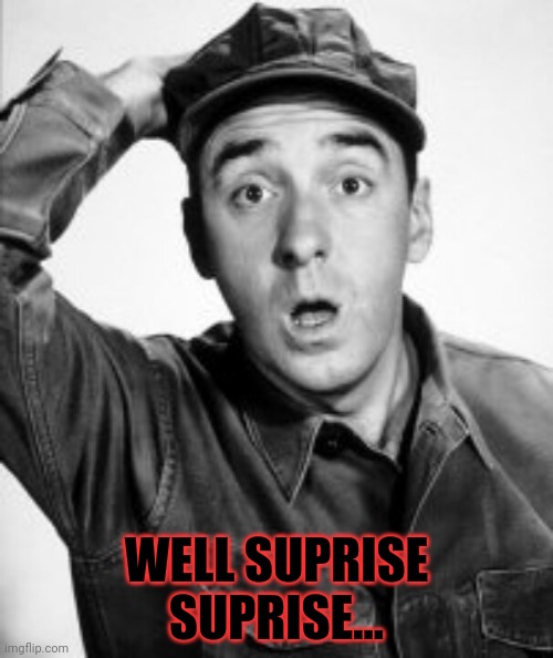 Gomer's Pyle | WELL SUPRISE SUPRISE... | image tagged in gomer's pyle | made w/ Imgflip meme maker