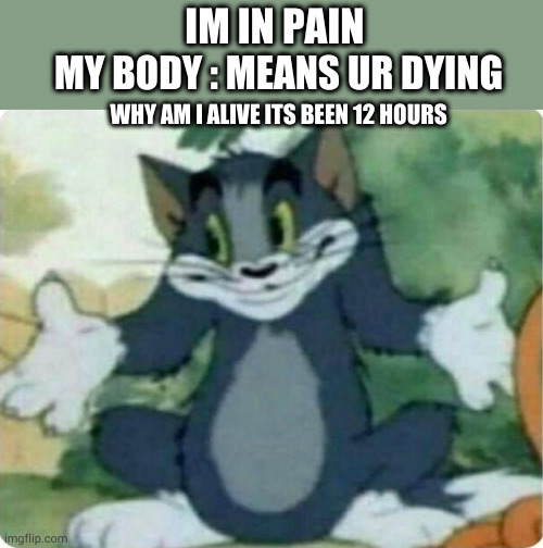 Tom Shrugging | IM IN PAIN; MY BODY : MEANS UR DYING; WHY AM I ALIVE ITS BEEN 12 HOURS | image tagged in tom shrugging | made w/ Imgflip meme maker