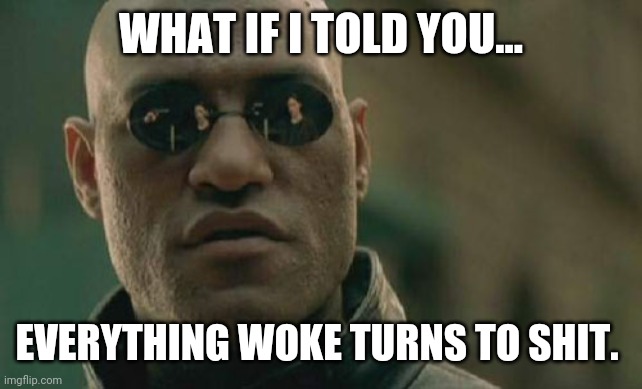 Can't stand woke people. | WHAT IF I TOLD YOU... EVERYTHING WOKE TURNS TO SHIT. | image tagged in memes | made w/ Imgflip meme maker