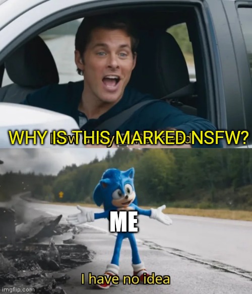 Sonic I have no idea | WHY IS THIS MARKED NSFW? ME | image tagged in sonic i have no idea | made w/ Imgflip meme maker