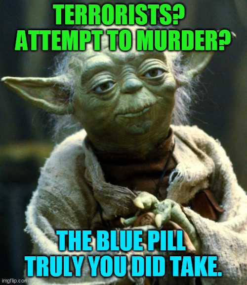 Star Wars Yoda Meme | TERRORISTS?  
ATTEMPT TO MURDER? THE BLUE PILL 
TRULY YOU DID TAKE. | image tagged in memes,star wars yoda | made w/ Imgflip meme maker