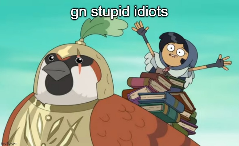 Funny hoodie girl | gn stupid idiots | image tagged in funny hoodie girl | made w/ Imgflip meme maker