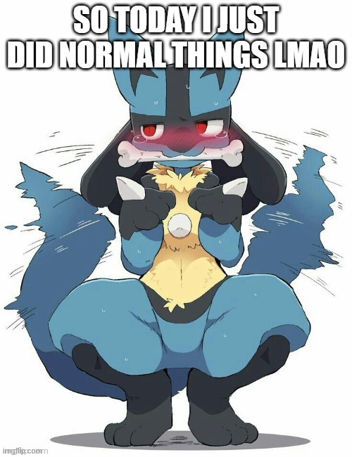 Lucario | SO TODAY I JUST DID NORMAL THINGS LMAO | image tagged in lucario | made w/ Imgflip meme maker