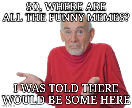 Too many memes with references I just don't get |  SO, WHERE ARE ALL THE FUNNY MEMES? I WAS TOLD THERE WOULD BE SOME HERE | image tagged in guess i'll die,funny memes,where are they now,not funny,too many | made w/ Imgflip meme maker