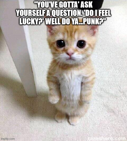 Cute Cat | "YOU'VE GOTTA' ASK YOURSELF A QUESTION. 'DO I FEEL LUCKY?' WELL DO YA...PUNK?" | image tagged in memes,cute cat,dirty harry,movie | made w/ Imgflip meme maker
