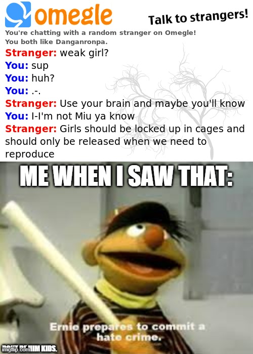 Sexist Dude on Omegle | ME WHEN I SAW THAT:; DONT BE HIM KIDS. | image tagged in ernie prepares to commit a hate crime,omegle | made w/ Imgflip meme maker