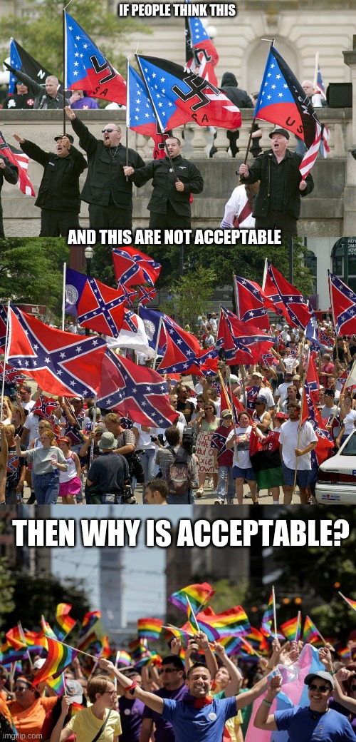 Explain why we should allow White Nationalism or Not if we are allowing pride in America | IF PEOPLE THINK THIS; AND THIS ARE NOT ACCEPTABLE; THEN WHY IS ACCEPTABLE? | image tagged in flags,white nationalism,confederacy,politics,neo nazi,usa | made w/ Imgflip meme maker