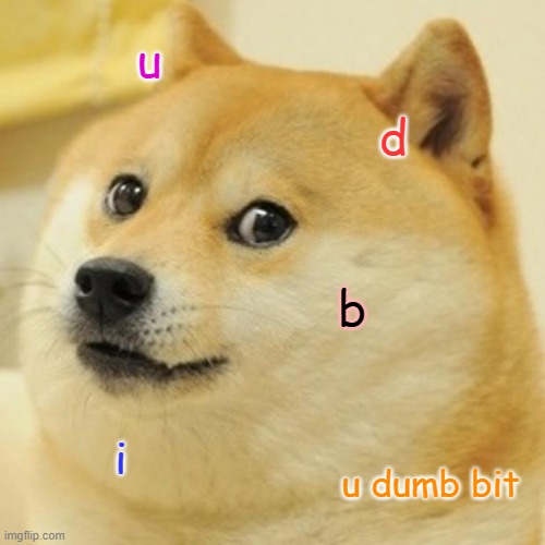Doge | u; d; b; i; u dumb bit | image tagged in memes,doge | made w/ Imgflip meme maker