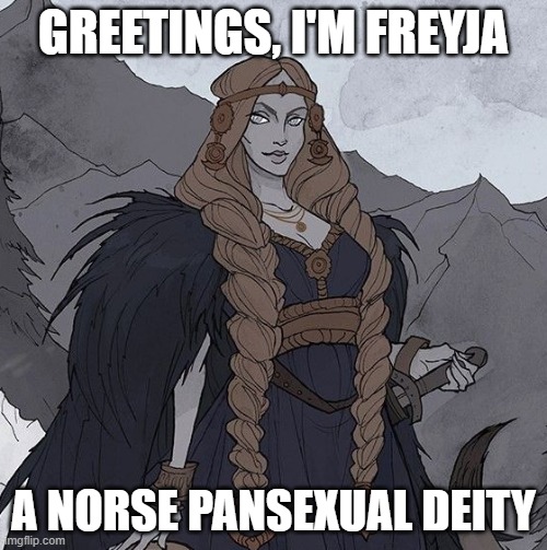 More deities! | GREETINGS, I'M FREYJA; A NORSE PANSEXUAL DEITY | image tagged in deities,norse,memes,lgbtq,pan | made w/ Imgflip meme maker