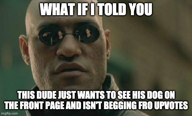Matrix Morpheus Meme | WHAT IF I TOLD YOU THIS DUDE JUST WANTS TO SEE HIS DOG ON THE FRONT PAGE AND ISN'T BEGGING FRO UPVOTES | image tagged in memes,matrix morpheus | made w/ Imgflip meme maker