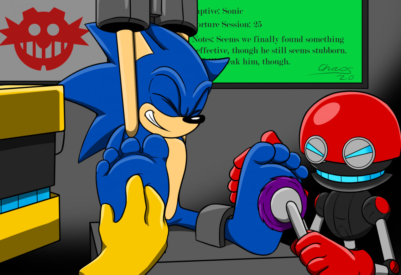 Sonic Tickled Blank Meme Template