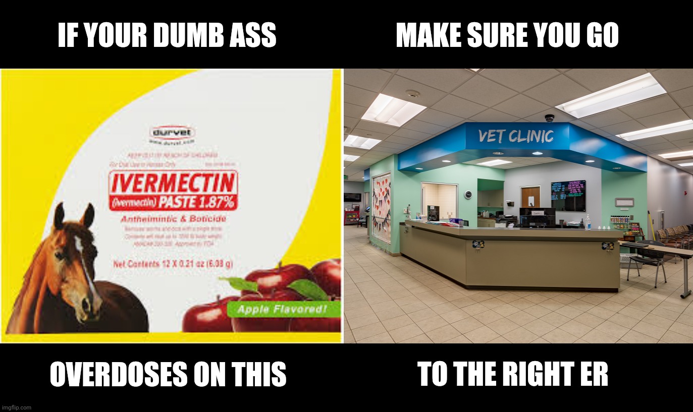 Don't be stupid | IF YOUR DUMB ASS; MAKE SURE YOU GO; OVERDOSES ON THIS; TO THE RIGHT ER | image tagged in covid-19,idiots,poison | made w/ Imgflip meme maker