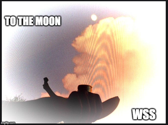 To the Moon | TO THE MOON; WSS | image tagged in full moon,sky,fist,banana,silver,sunset | made w/ Imgflip meme maker