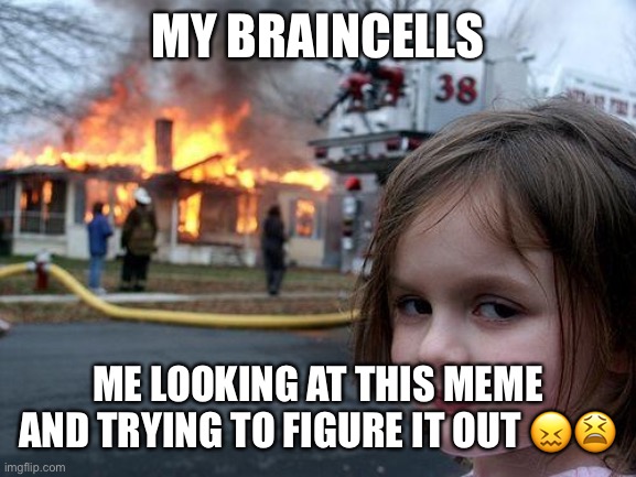 Disaster Girl Meme | MY BRAINCELLS ME LOOKING AT THIS MEME AND TRYING TO FIGURE IT OUT ?? | image tagged in memes,disaster girl | made w/ Imgflip meme maker