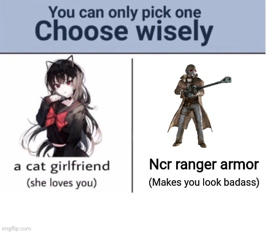 Choose wisely | Ncr ranger armor; (Makes you look badass) | image tagged in choose wisely | made w/ Imgflip meme maker
