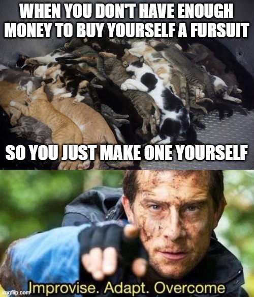 Proud furry here! | WHEN YOU DON'T HAVE ENOUGH MONEY TO BUY YOURSELF A FURSUIT; SO YOU JUST MAKE ONE YOURSELF | image tagged in improvise adapt overcome | made w/ Imgflip meme maker