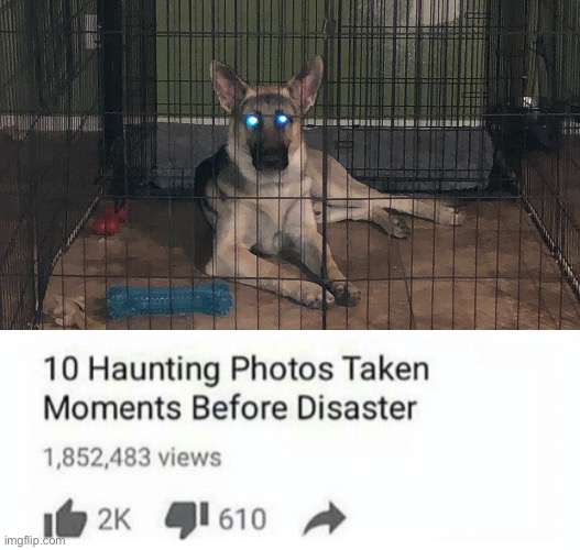 He use eyes to break out (yes I know it’s a thing where the eyes light up during picture) | image tagged in 10 moments before disaster | made w/ Imgflip meme maker