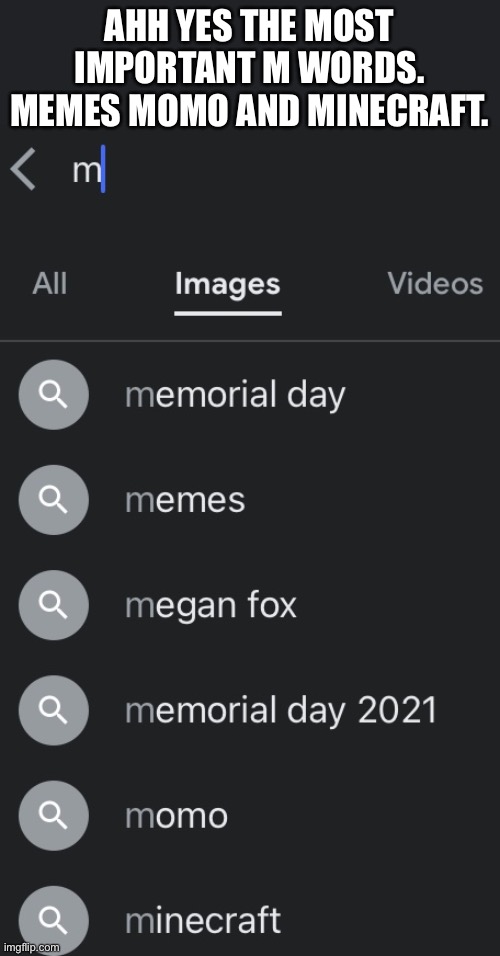 AHH YES THE MOST IMPORTANT M WORDS.
MEMES MOMO AND MINECRAFT. | made w/ Imgflip meme maker
