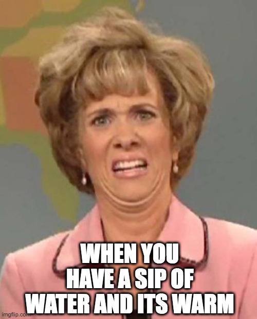 Warm water is disgusting | WHEN YOU HAVE A SIP OF WATER AND ITS WARM | image tagged in disgusted kristin wiig,warm water | made w/ Imgflip meme maker