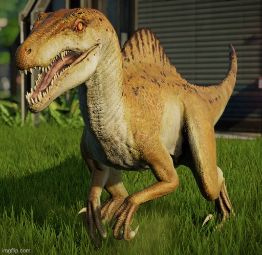 spino raptor | image tagged in memes | made w/ Imgflip meme maker