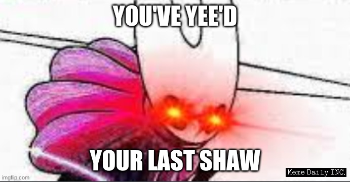 yee'd | YOU'VE YEE'D; YOUR LAST SHAW | image tagged in yee'd your last shaw,hollow knight,hornet | made w/ Imgflip meme maker