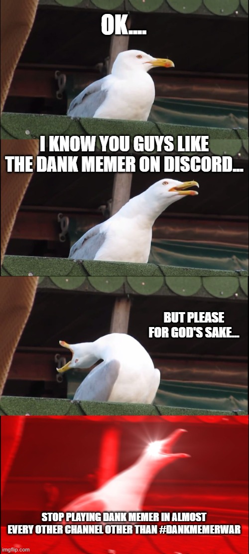 enough is enough (≖᷆︵︣≖)? | OK.... I KNOW YOU GUYS LIKE THE DANK MEMER ON DISCORD... BUT PLEASE FOR GOD'S SAKE... STOP PLAYING DANK MEMER IN ALMOST EVERY OTHER CHANNEL OTHER THAN #DANKMEMERWAR | image tagged in memes,inhaling seagull | made w/ Imgflip meme maker