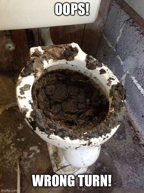 toilet | OOPS! WRONG TURN! | image tagged in toilet | made w/ Imgflip meme maker