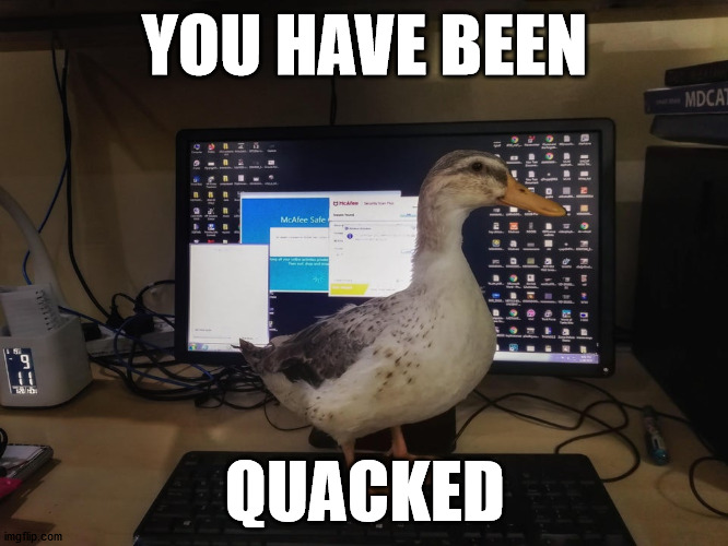 YOU HAVE BEEN; QUACKED | made w/ Imgflip meme maker