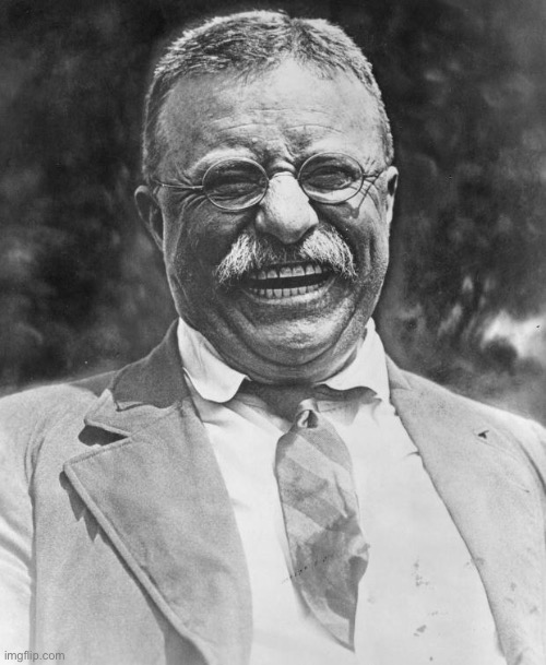 Teddy Roosevelt | image tagged in teddy roosevelt | made w/ Imgflip meme maker