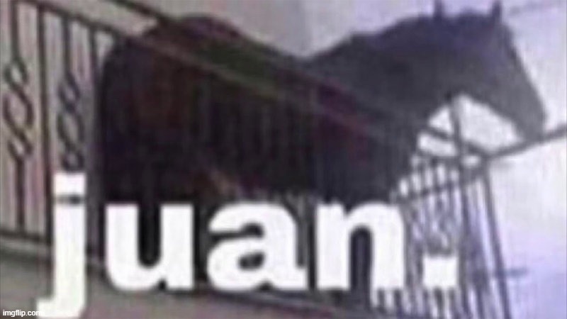 Juan horse | image tagged in juan horse | made w/ Imgflip meme maker