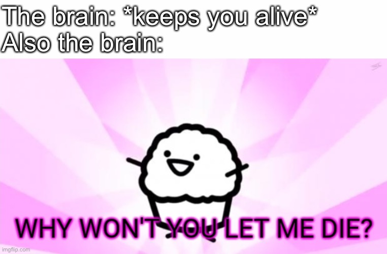 The brain: *keeps you alive*
Also the brain: | image tagged in white text box,why won't you let me die | made w/ Imgflip meme maker
