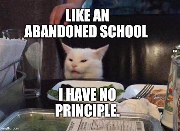 Salad cat | LIKE AN ABANDONED SCHOOL; I HAVE NO PRINCIPLE. J M | image tagged in salad cat | made w/ Imgflip meme maker
