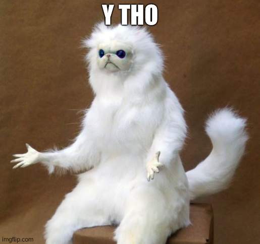 Y THO | image tagged in persian white monkey | made w/ Imgflip meme maker