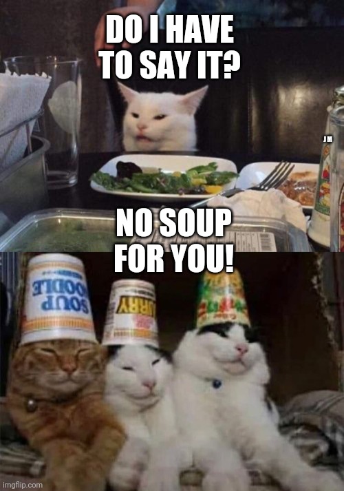 DO I HAVE TO SAY IT? NO SOUP FOR YOU! J M | image tagged in salad cat | made w/ Imgflip meme maker