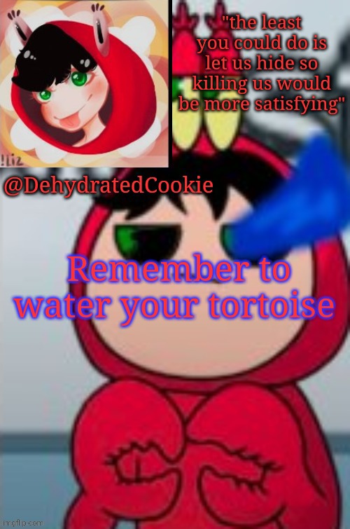 TbhHonest announcement template | Remember to water your tortoise | image tagged in tbhhonest announcement template | made w/ Imgflip meme maker