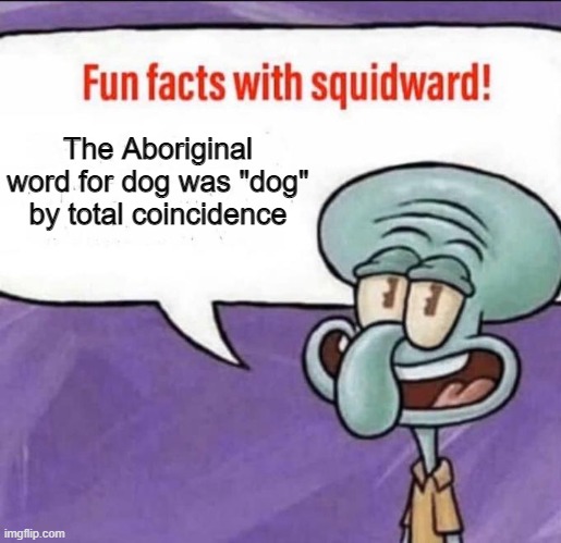 Fun Facts with Squidward | The Aboriginal word for dog was "dog" by total coincidence | image tagged in fun facts with squidward | made w/ Imgflip meme maker