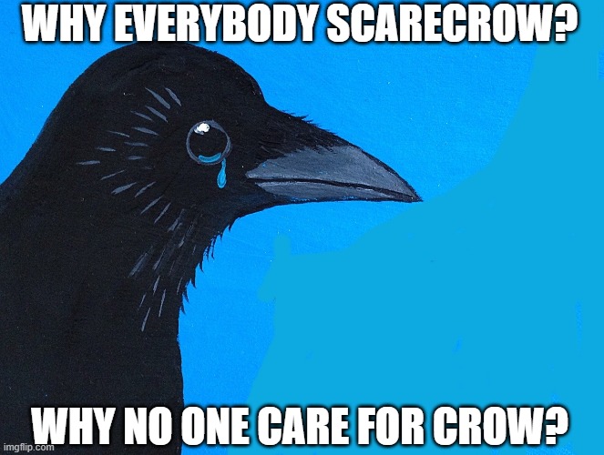 why scare him? | WHY EVERYBODY SCARECROW? WHY NO ONE CARE FOR CROW? | image tagged in funny | made w/ Imgflip meme maker