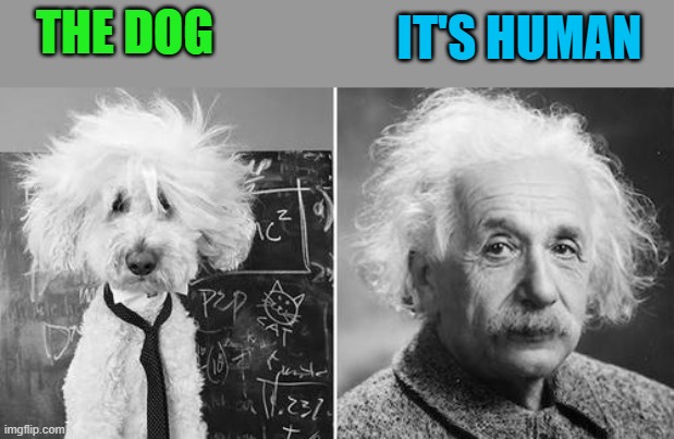 IT'S HUMAN; THE DOG | made w/ Imgflip meme maker