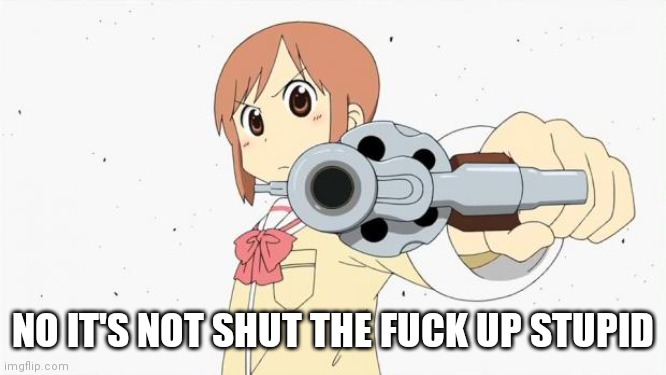 Anime gun point | NO IT'S NOT SHUT THE FUCK UP STUPID | image tagged in anime gun point | made w/ Imgflip meme maker