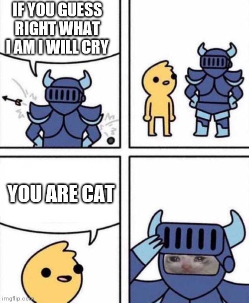 Nothing Gets Through This Armour | IF YOU GUESS RIGHT WHAT I AM I WILL CRY; YOU ARE CAT | image tagged in nothing gets through this armour | made w/ Imgflip meme maker