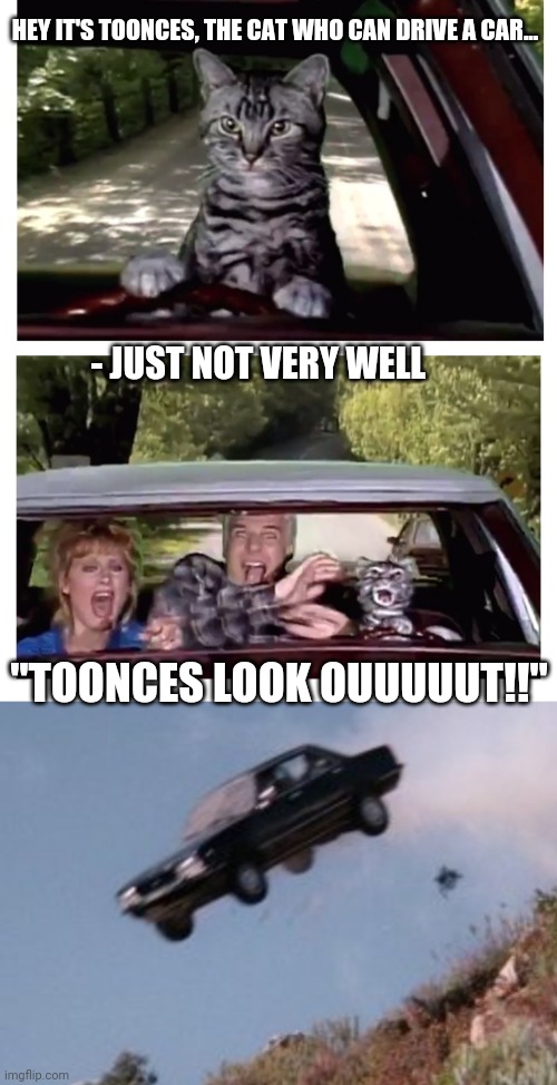 Toonces the driving cat | HEY IT'S TOONCES, THE CAT WHO CAN DRIVE A CAR... - JUST NOT VERY WELL; "TOONCES LOOK OUUUUUT!!" | image tagged in that's just silly cat,classic,saturday night live | made w/ Imgflip meme maker