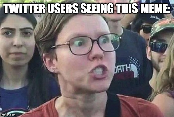 Triggered Liberal | TWITTER USERS SEEING THIS MEME: | image tagged in triggered liberal | made w/ Imgflip meme maker